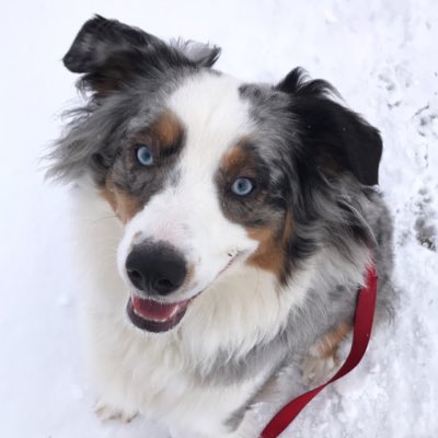 Morty belongs on a magazine cover. #NewProfilePic