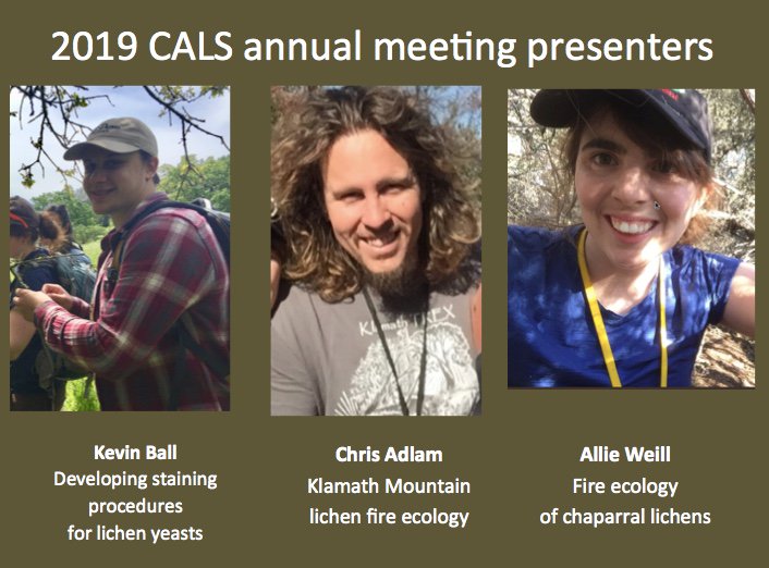 CALichenS's tweet image. This year's evening presentations (after dinner on Jan. 26) will feature three early career lichenologists talking about their exciting research: Kevin Ball (staining lichen yeasts), Chris Adlam (lichens and fire in the Klamaths), and Allie Weill  (chaparral lichens and fire)