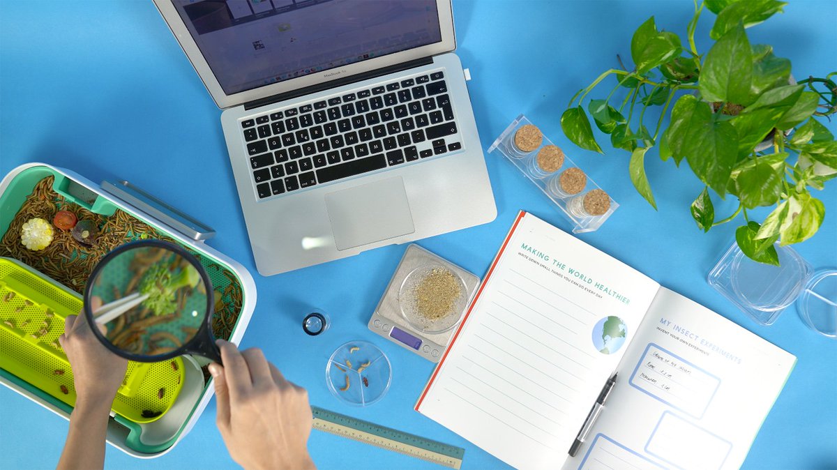 thisismold's tweet image. With the Hive Explorer, @Livinfarms is tackling food insecurity, food waste and STEM education with one mealworm growing kit: bit.ly/2RApNys