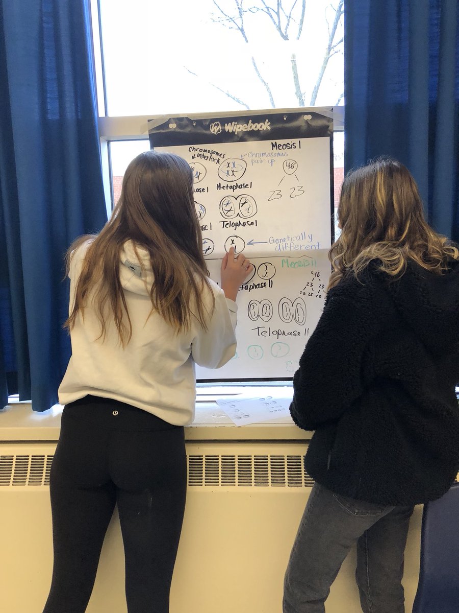 RivettHilary's tweet photo. Gr. 11 Bio Ss have been busy this week! We attempted and rocked a @thinkingclssrms to start our Genetics Unit learning about Meiosis.. you can see the day 1- problem and questions students were asked to solve in their groups on their @Wipebook! @MDHighSchool @HDSB_TheShift https://t.co/wqla4pC9RM