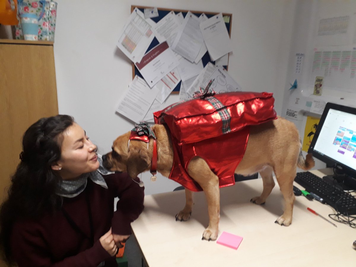 Dex_therapy_dog's tweet photo. Another productive meeting with one of my fellow pastoral mentors https://t.co/NI1piIEaa6