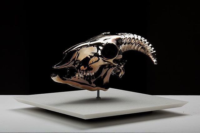 YumaTakaishi's tweet photo. Past artwork.⠀⠀
Reflection_Capra Skull#1 size: 280x200x150 #material: #Born #Silver #Resin #2015⠀⠀
#studio #okeya #artwork⠀
#Photo by Ryo Onodera⠀ https://t.co/2hkKRVBw66 https://t.co/eWApQ5Hci4
