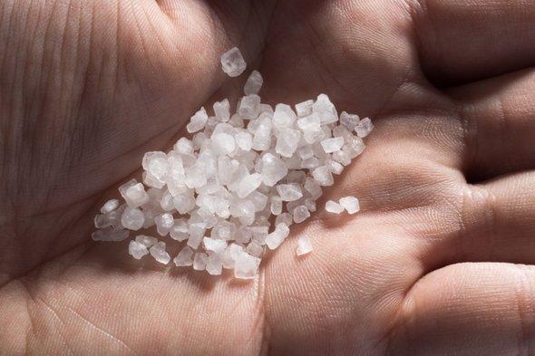 Scientific American tweet media
