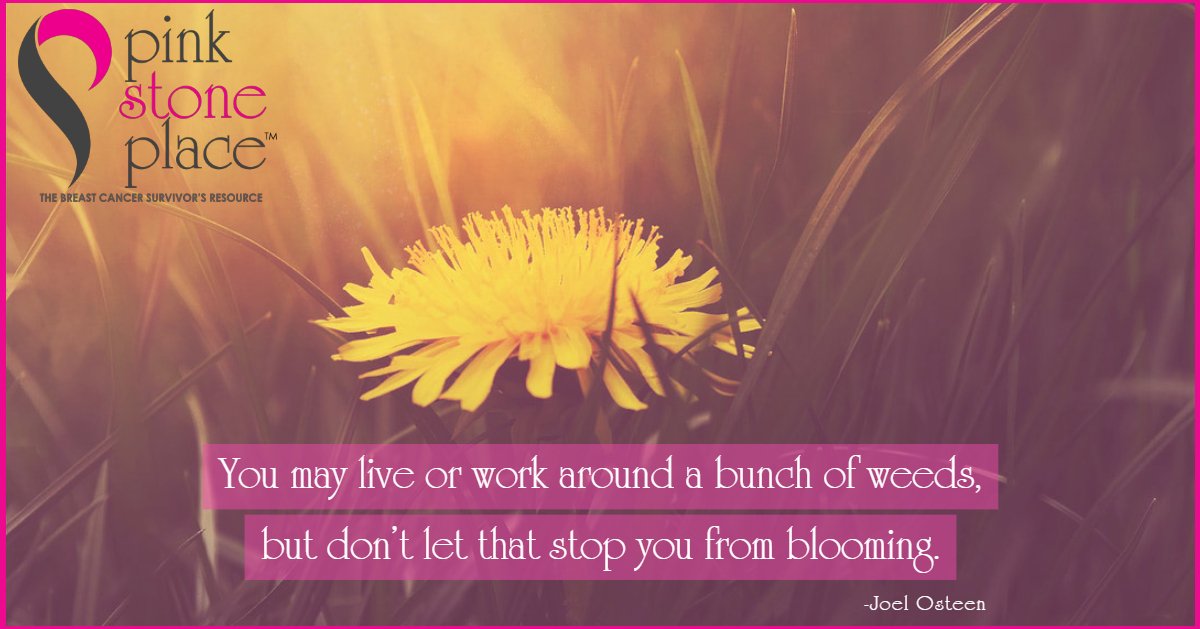 PinkStonePlace's tweet image. Be your own strong, authentic self today, no matter what .
🌺 🌸 🌷
#pinkstoneplace  #liveinspired #wednesdaywisdom