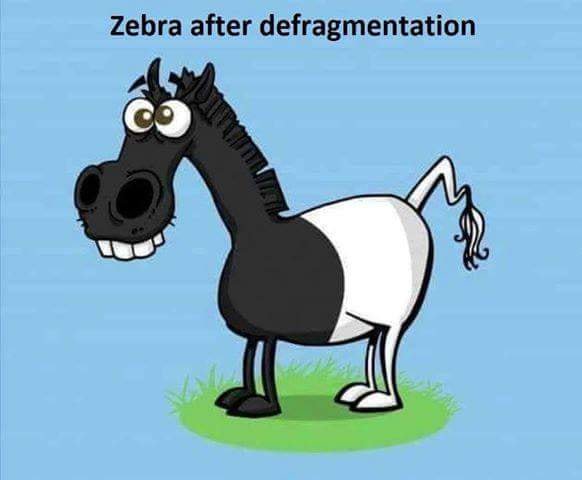 manujagro's tweet image. Like HDD defragment 👍

#TetraNoodle #defragmentation #developer #developerlife #softwaredeveloper #engineeringmemes #softwareengineer #programmingmemes #programminglife #programmingisfun