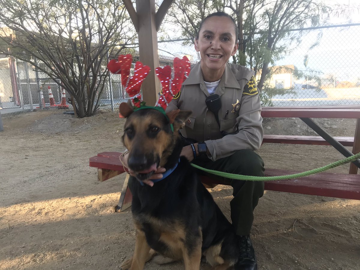 LANLASD's tweet photo. This holiday season, don’t shop, adopt!
We stopped by to see our friends @AnimaLancaster &amp; found these adorable pets that need forever homes. When you adopt, you are saving a life! Pets are all available now!
*deputies not included*

#LASD #AV411 #petadoptions #AdoptDontShop https://t.co/Xyss2LHZXs