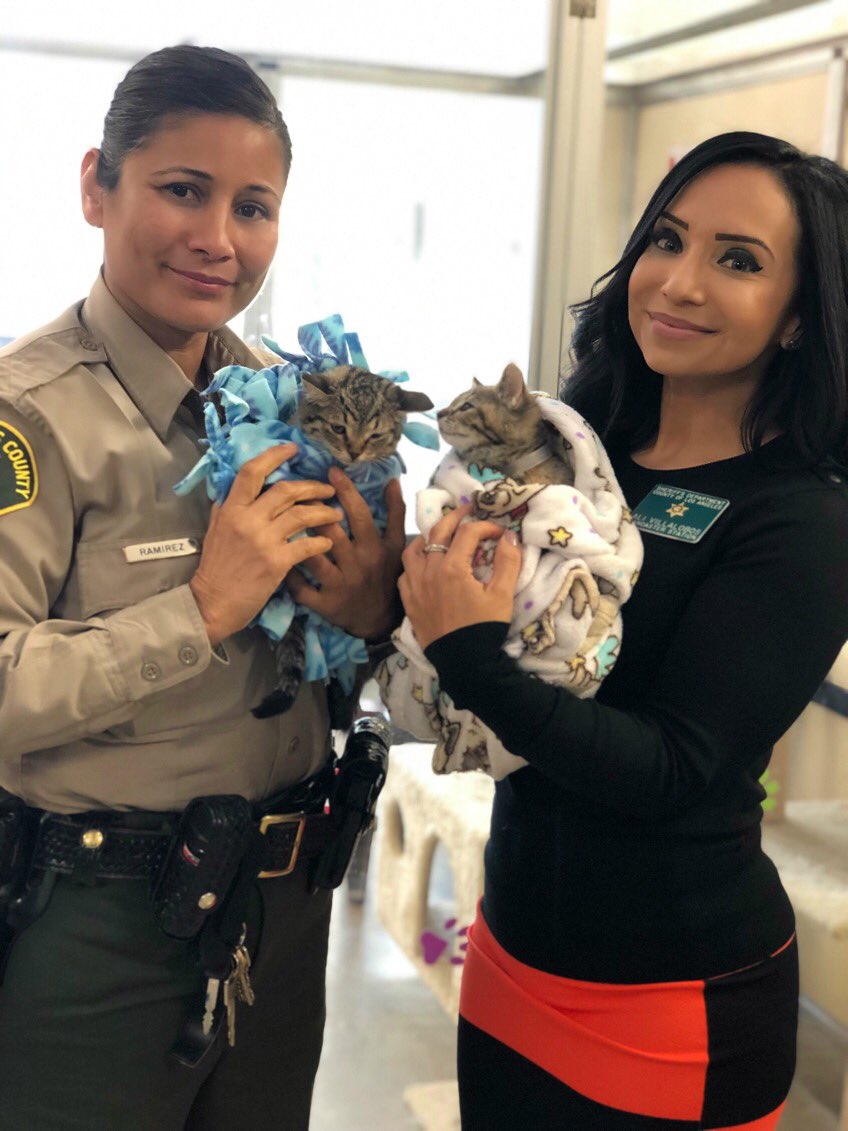 LANLASD's tweet photo. This holiday season, don’t shop, adopt!
We stopped by to see our friends @AnimaLancaster &amp; found these adorable pets that need forever homes. When you adopt, you are saving a life! Pets are all available now!
*deputies not included*

#LASD #AV411 #petadoptions #AdoptDontShop https://t.co/Xyss2LHZXs