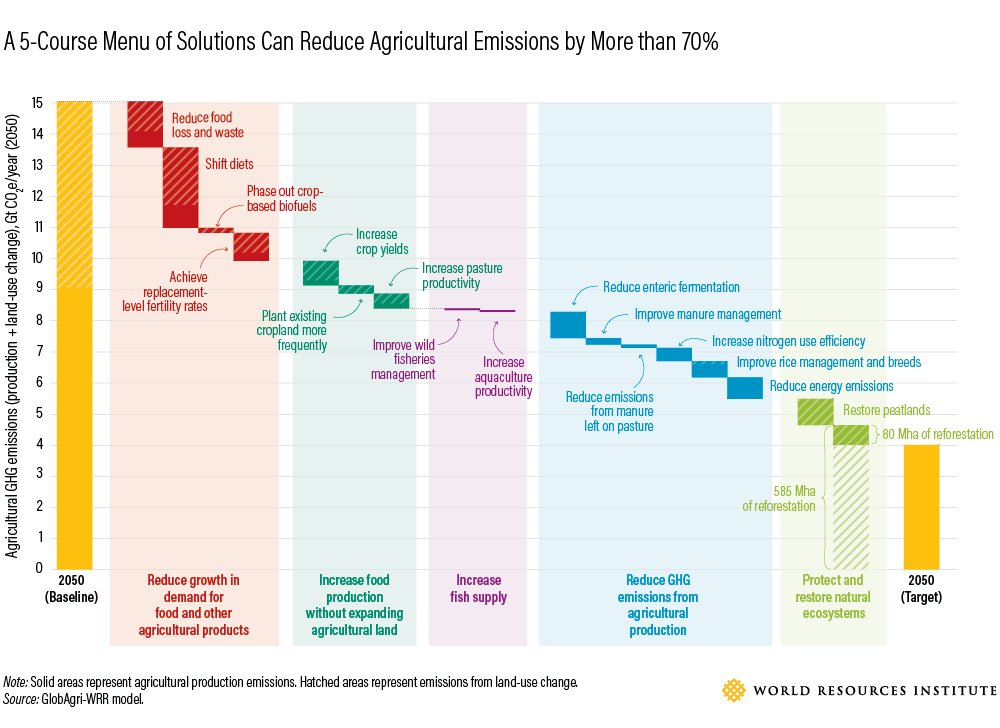 restoreforward's tweet photo. To build a #sustfoodfuture, restoring thousands of hectares of degraded land will be necessary. Learn more about transforming the global food system in a new @WRIFood publication here: https://t.co/8DYLi3rcRQ https://t.co/Cym4l08MDi