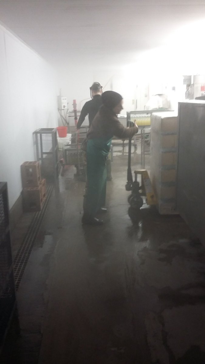 Murky inside the bottling room <a href="/AshridgeCider/">AshridgeCider</a>  and outside today. Lemonade on the go #organic #softdrinks #DevonFood #Devoncider