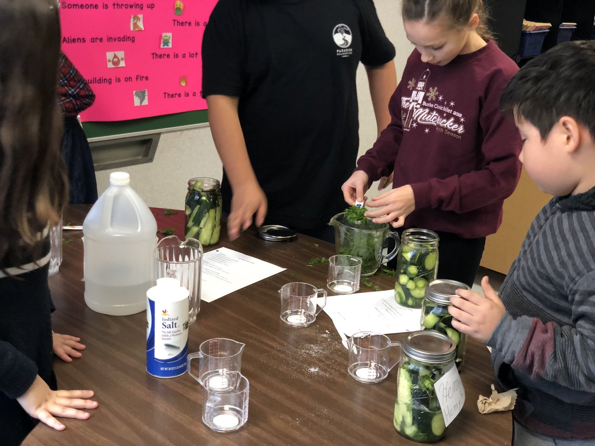 KingsGlenES's tweet photo. Chopped gators? 🐊 Nope, these fourth graders are getting a firm grasp on the difference between mixtures and solutions by pickling some cucumbers! #kGScience #OurFCPS https://t.co/axrnxWfNuW