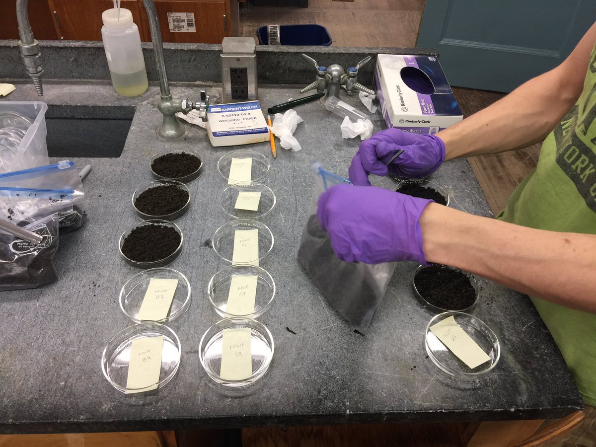 Van Cortlandt Park Alliance (@vcpalliance) on Twitter photo Today is World Soil Day! Just yesterday, Friends’ staff took soil samples to <a href="/LehmanCollege/">Lehman College</a> in order to conduct XRF (X-Ray Fluorescence) analysis on heavy metals concentrations. Special thank you to Dr. Yuri Gorokhovich for an exciting new research collaboration. Today is World Soil Day! Just yesterday, Friends’ staff took soil samples to <a href="/LehmanCollege/">Lehman College</a> in order to conduct XRF (X-Ray Fluorescence) analysis on heavy metals concentrations. Special thank you to Dr. Yuri Gorokhovich for an exciting new research collaboration.