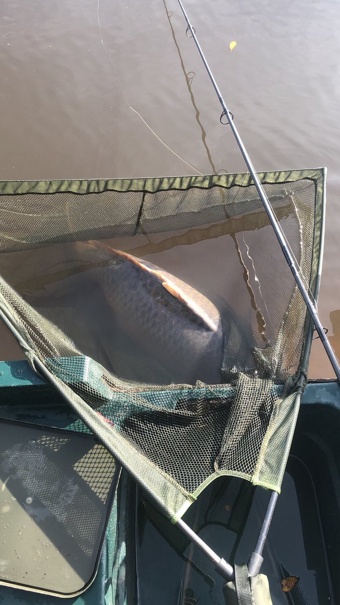 TomForrester33's tweet photo. Big fish Thursday tomorow 🐳🌈👀 https://t.co/ziSYCw7Kbs