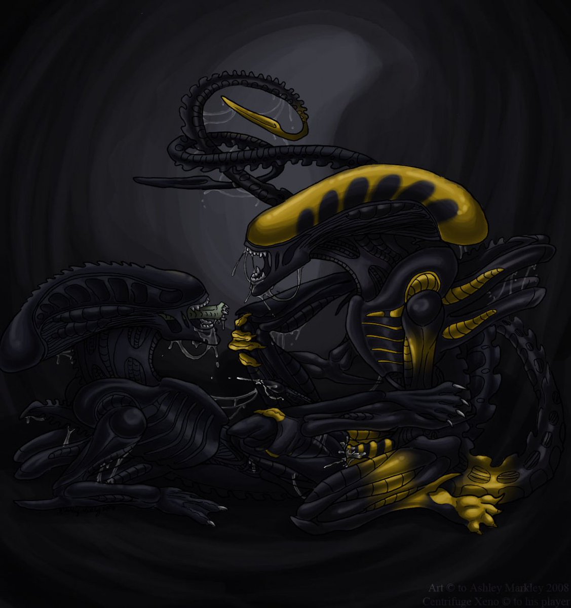 Ulysses Xenomorph! (@Ulysses_xeno) / Twitter