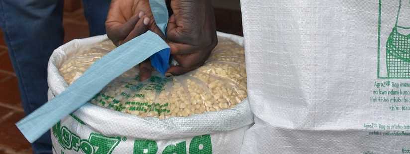 Agrilinks's tweet photo. Smallholder #farmers in Sub-Saharan #Africa experience post-harvest crop losses due to poor storage technologies and ineffective drying practices. The @FeedtheFuture Food Tech Center at @LifeAtPurdue is researching ways to improve techniques. https://t.co/szVFfyRi78 https://t.co/zxv2XEXIMB