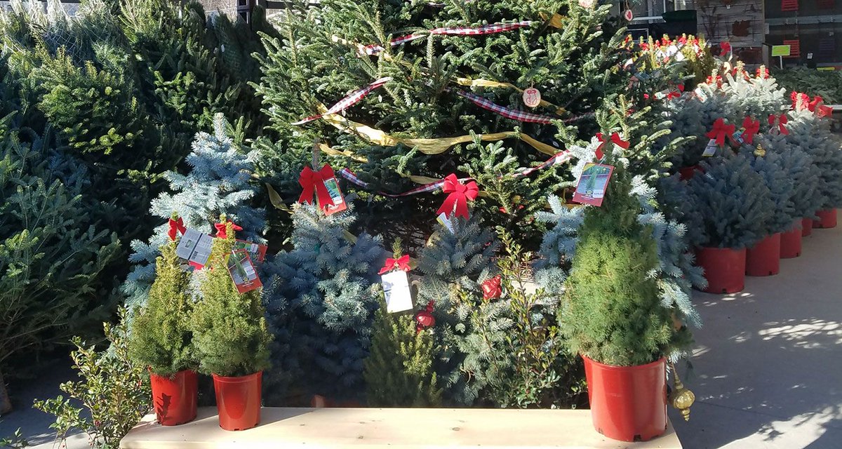 Toronto Mom Now tweet media