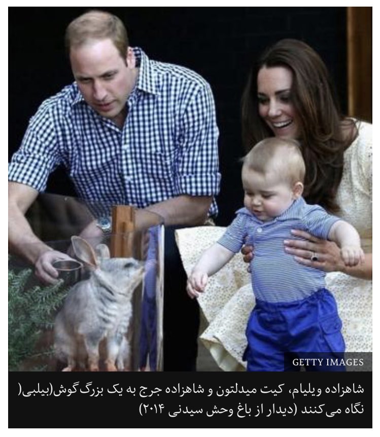 FreeInCage's tweet photo. عکس بی بی سی برای خبر «استرالیا ۳۰ 'بزرگ‌گوش' را در طبیعت رها کرد» 
انقد شاه و شازده کرده انگار اونا موضوع اصلی خبرن!
اون‌ “شاهزاده جرج” هم مثل ما اصفهانیا می مونه که به بچه سه ماهه می گیم “آقا مهدی”! https://t.co/mRmcUsREXp