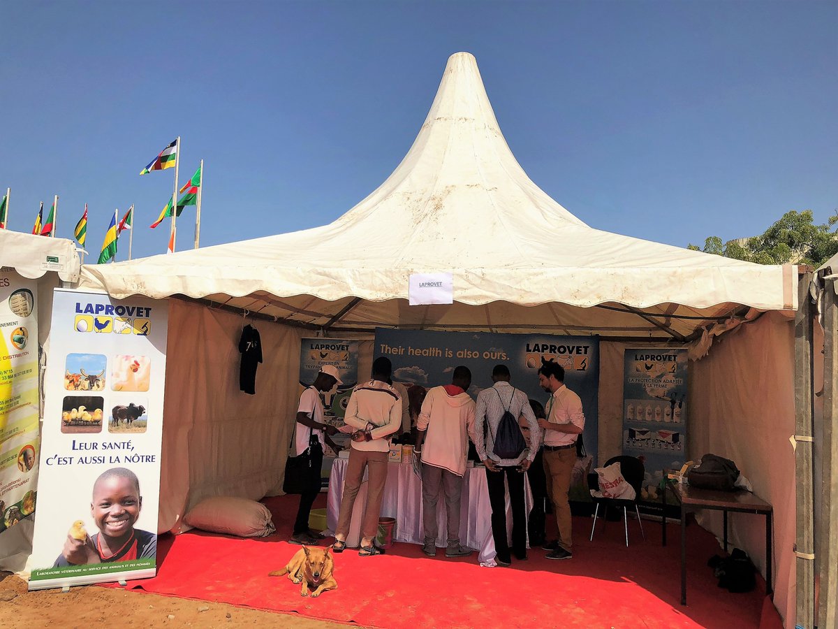 Laprovet tweet media