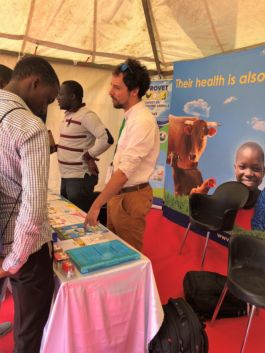 Laprovet tweet media