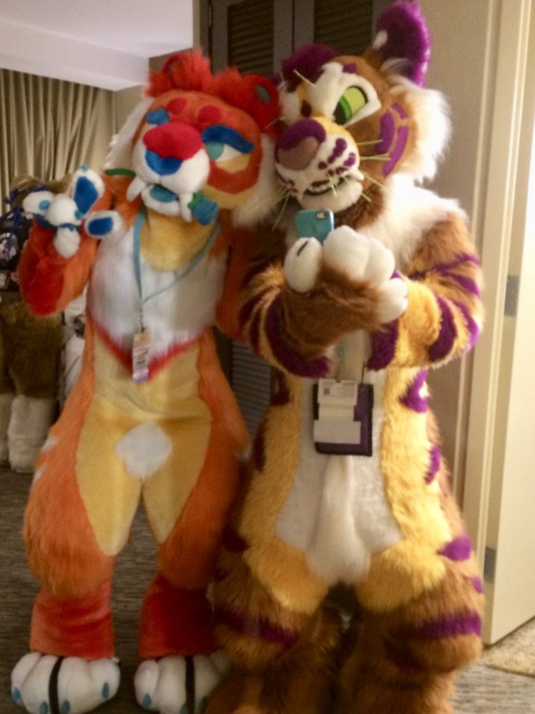 MalibuSaber's tweet photo. Getting ready to party with @Sunsetiger 😍😘 #FurFest https://t.co/VGpf7nm40U