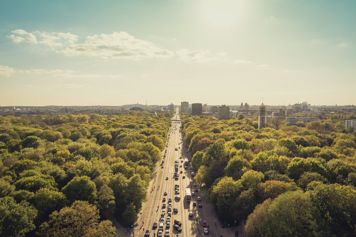 NRCan's tweet photo. #NRCan scientists are using @Google Street View to take inventory and characterize the composition of trees in urban centres. #UrbanForestry is a key topic of discussion at the Forest Pest Management Forum in Ottawa. https://t.co/5eDR4PQQlI #FPMF2018 #NRCanSci https://t.co/eI2ngmCUt5