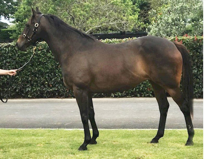 Gavelhouse (gavelhouse) Twitter