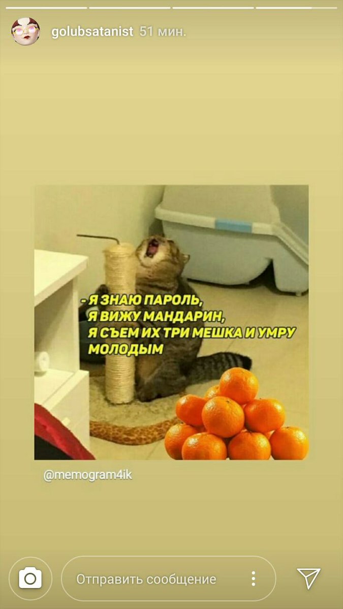 Я знаю пароль я вижу мандарин. Я знаю пароль я вижу мандарин. Орущий кот мем. Апельсиновый кот. Предновогодняя суета приколы.