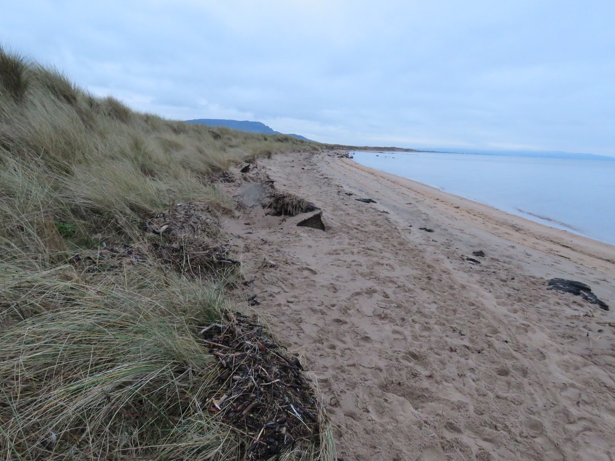 donnarainey4's tweet photo. Made a start on this horrendous stretch of beach today, at Magilligan. 11 bin-liners collected before I ran out of daylight. 3 hours work. Great sense of satisfaction looking back on the relatively litter free scene! @BinevenaghLPS @conway_rachael https://t.co/yHDRzbdW4S