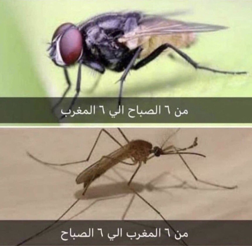 وبعدين يعني 😂!!