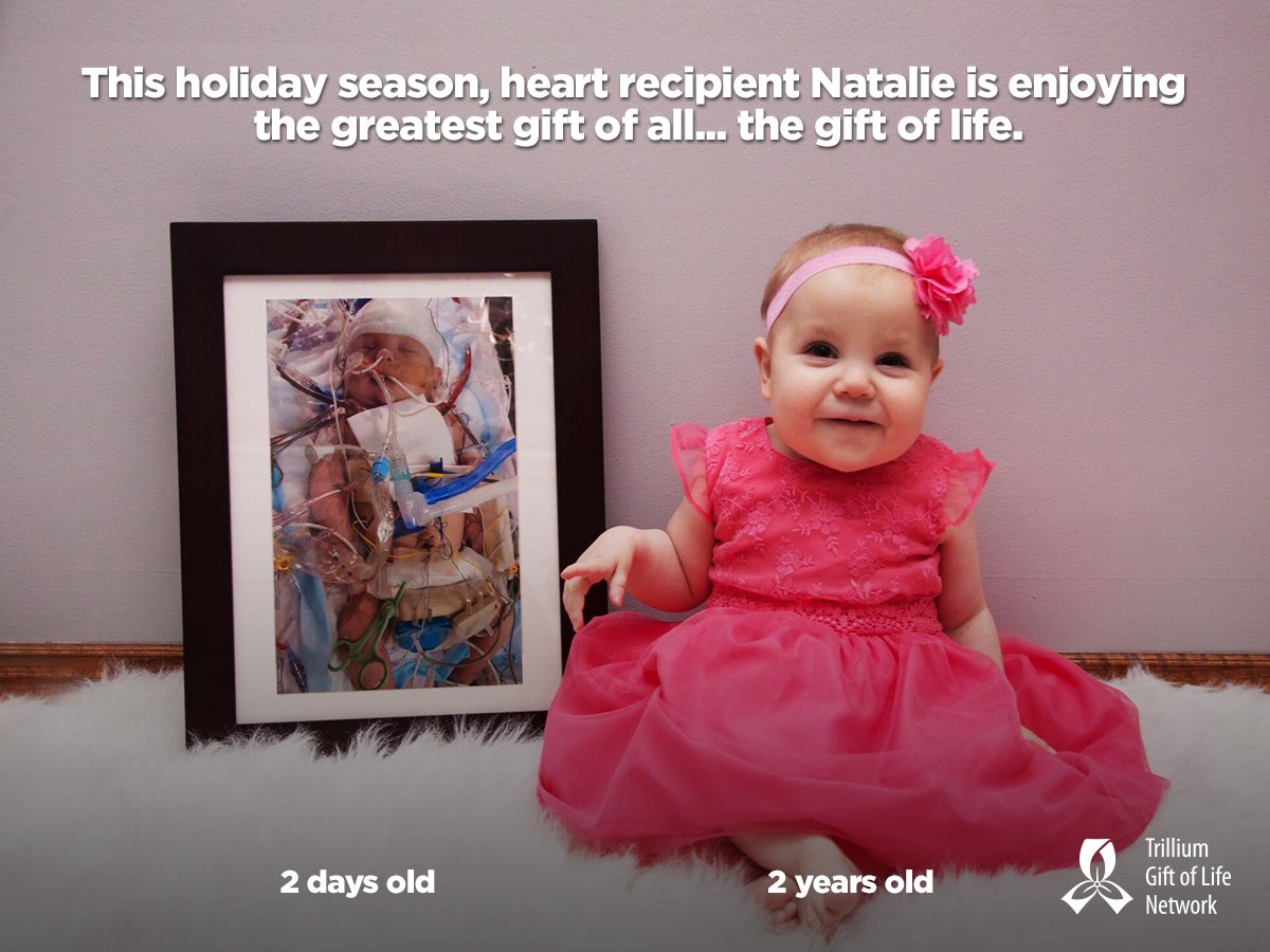 TrilliumGift's tweet photo. Two-year-old Natalie is happy, healthy and ready to celebrate the magic of the #holidayseason and it's all thanks to her organ donor. You can give hope to 1,500 Ontarians on the waitlist by registering as an organ and tissue donor at https://t.co/QbtH0gwY1I https://t.co/1VQ3iov53M