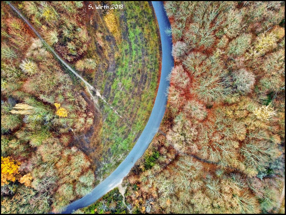 wirthstef's tweet photo. #forest #Berlin #Grunewald with #street and two #meadow at #Teufelsberg in #winter #December #2018 Copyrights #Stefan #F. #Wirth
#landscape #trees #drone #quadcopter #flying #airperspective #birdperspective #dji #mavicpro #photography #photographylovers #photographer https://t.co/5RJaeGbUo0