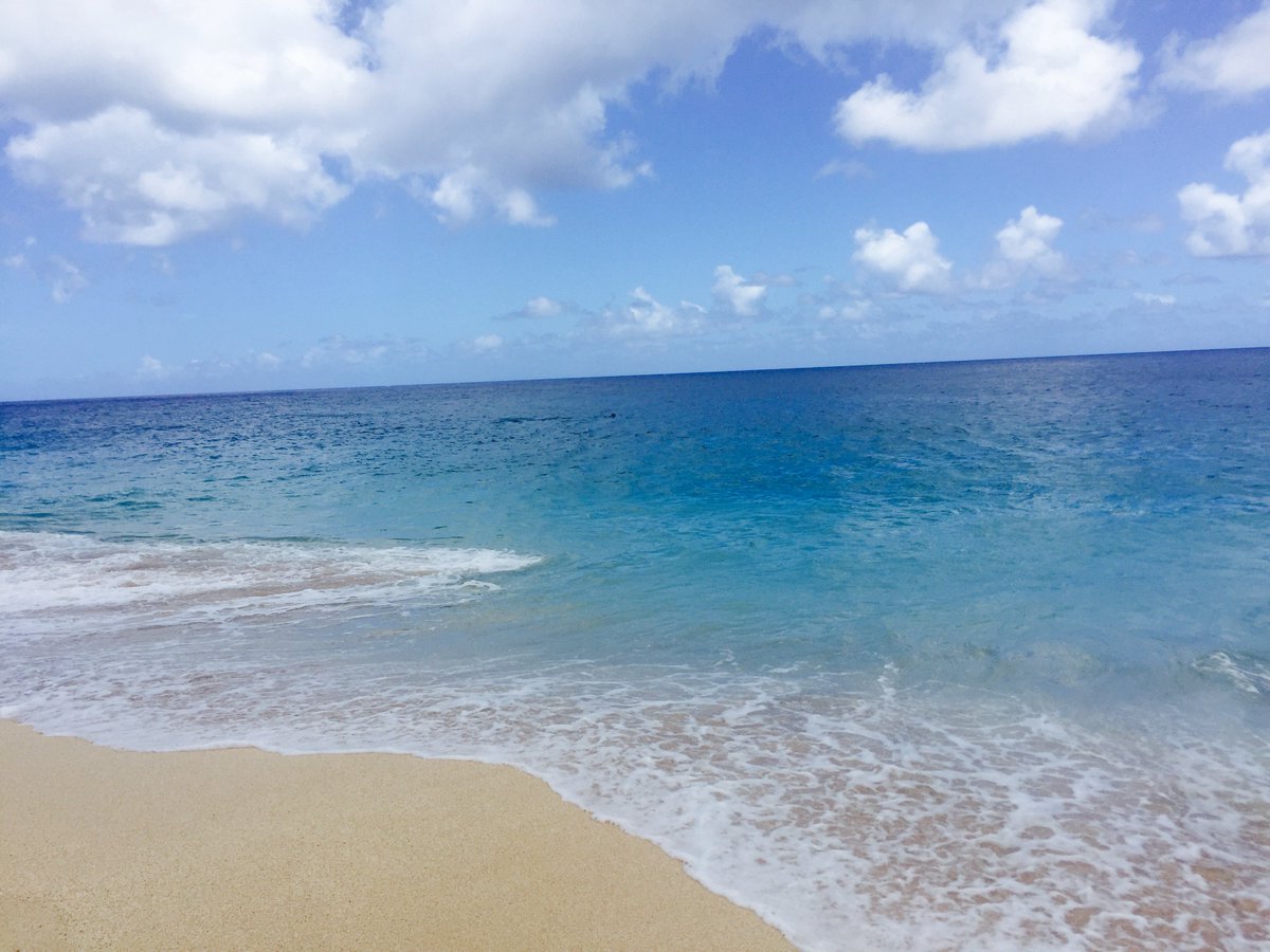 Job Opportunity! DLNR is hiring a Marine 30x30 Planner to support Hawaii’s marine management and sustainability goals. Apply by 12/11 and view the link below for more information. @dlnr
https://hcmweb.rcuh.com/psp/hcmprd_exapp/EMPLOYEE/HRMS/c/HRS_HRAM.HRS_APP_SCHJOB.GBL?Page=HRS_APP_JBPST&Action=U&FOCUS=Applicant&SiteId=3&JobOpeningId=18604&PostingSeq=1 …
