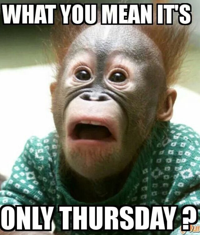 AIOPACT's tweet image. 😂😳
.
.
#StrengthInOurConnections #WeAreAIOP #OfficeProfessional #CBR