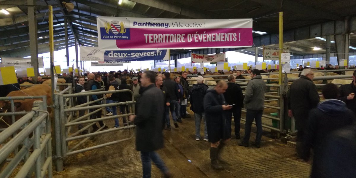 AlbertBOIVIN's tweet photo. Terroirs, Savoir-faire et Parthenaises...
La Foire Primée, Le Marché aux Bestiaux de PARTHENAY.
#TerritoiredeVie
#foireprimée
#MarchéauxBestiaux
#Parthenaises
#Parthenay
#Terreterroirs https://t.co/LnSoJDSEAt