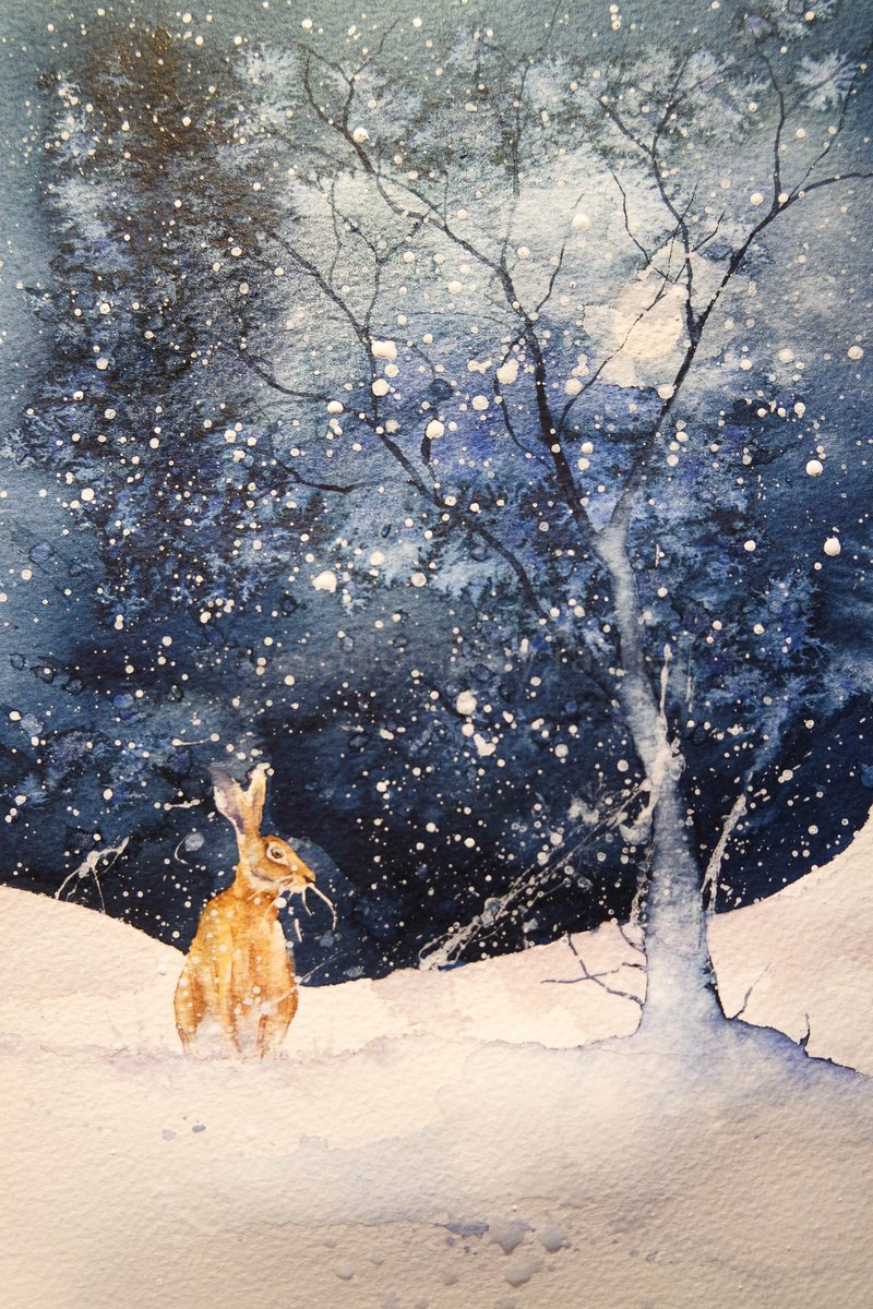 Rachel Toll tweet media