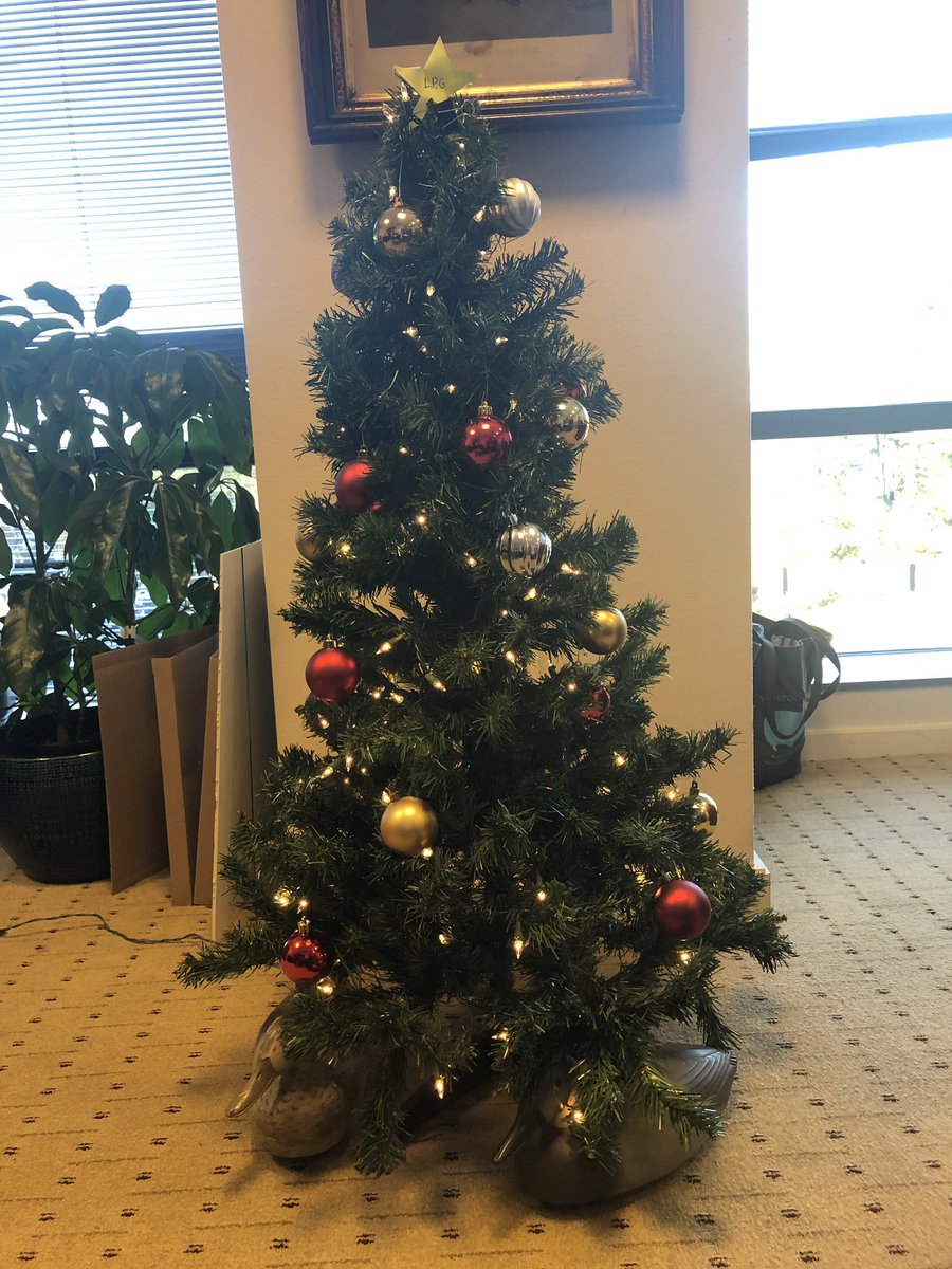 lynchpinnacle's tweet photo. It’s beginning to look a lot like     Duckmas, i mean Christmas! #quackquack https://t.co/Yx6jQ9cBHx