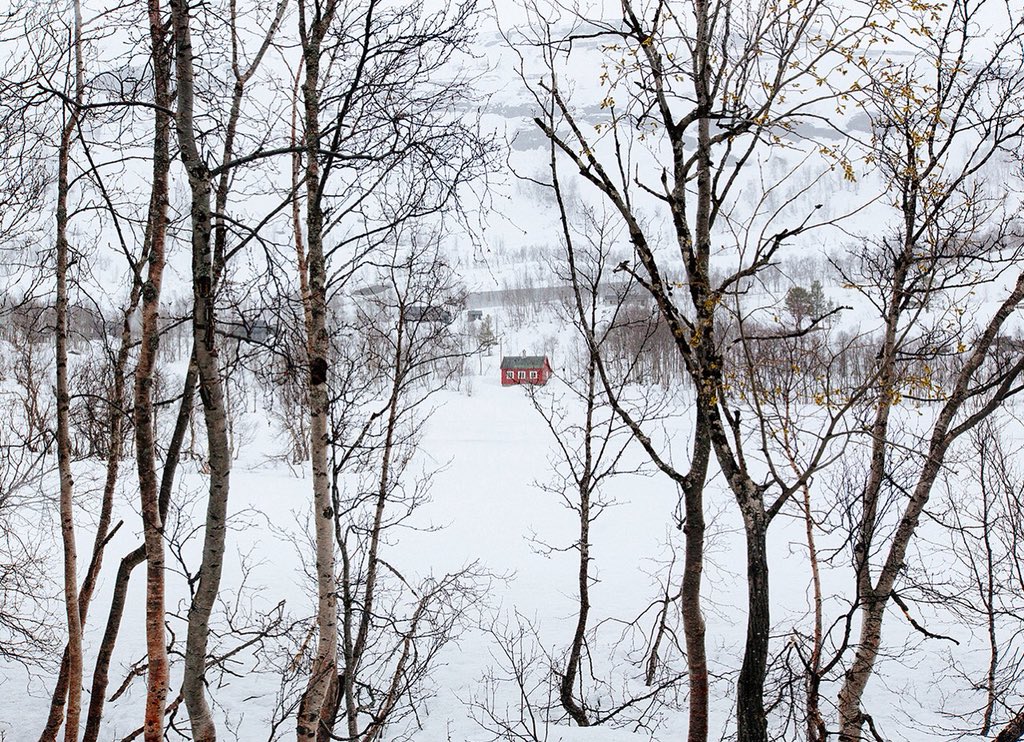 hellopoe's tweet image. Happy to be offering a print for sale via @CreatingforGood to benefit @girlsalliance ! Check out the link below to purchase a print from so many incredible photographers:

creatingforgood.co.uk/photographersf…