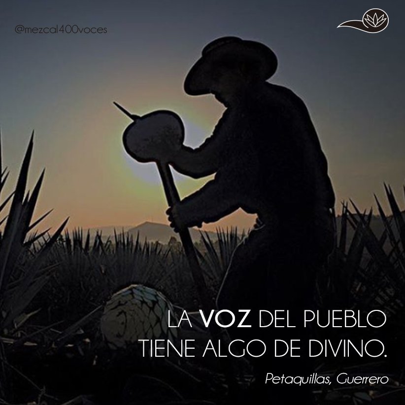 La voz del pueblo, tiene algo de divino. Una delicia que se hace en #PetaquillasGuerrero. @mezcal400voces