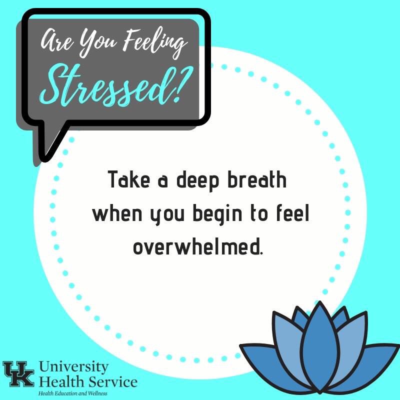 UHSPaws's tweet photo. Take a deep belly breath when you feel stressed. Whether it's while your studying, taking a test, or planning your week, allow yourself time to pause. #StressLessUK https://t.co/mgIMz5EcGY