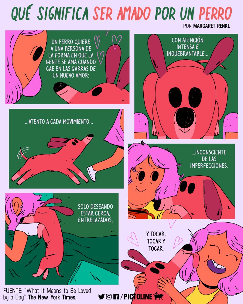 pictoline's tweet photo. Qué significa ser amado por un perro 🐶💖 https://t.co/O0ayssBEL6