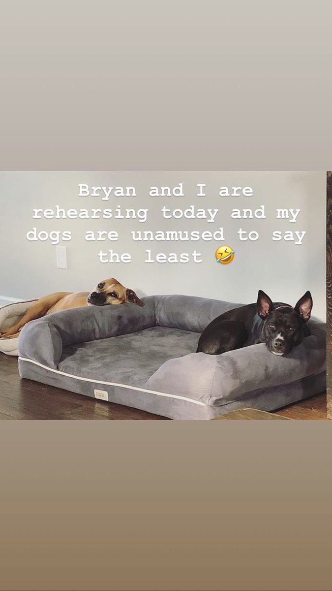 Indigo Summer (@_indigosummer) on Twitter photo 