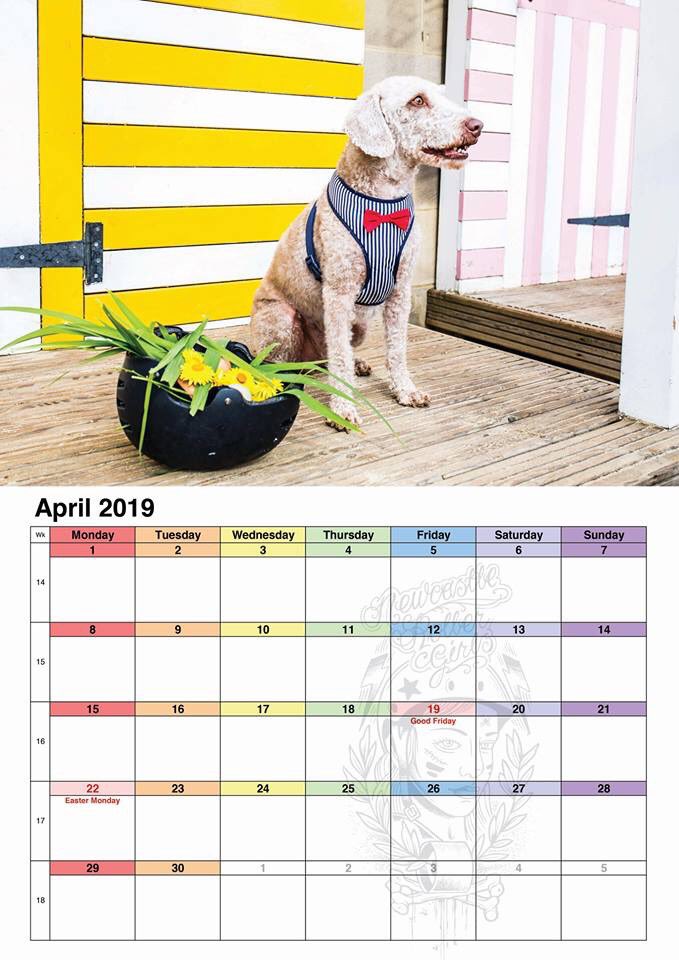 nclrollerderby's tweet image. Looking for the perfect derby related Christmas present?  The last date to get our Dogs of Derby calendar posted out before Christmas is Friday 14 December so don't miss out on the cutest bit of merch around.

newcastlerollergirls.co.uk/product/dogs-o…

#derbytwitter #dogsofwftda #rollerderby