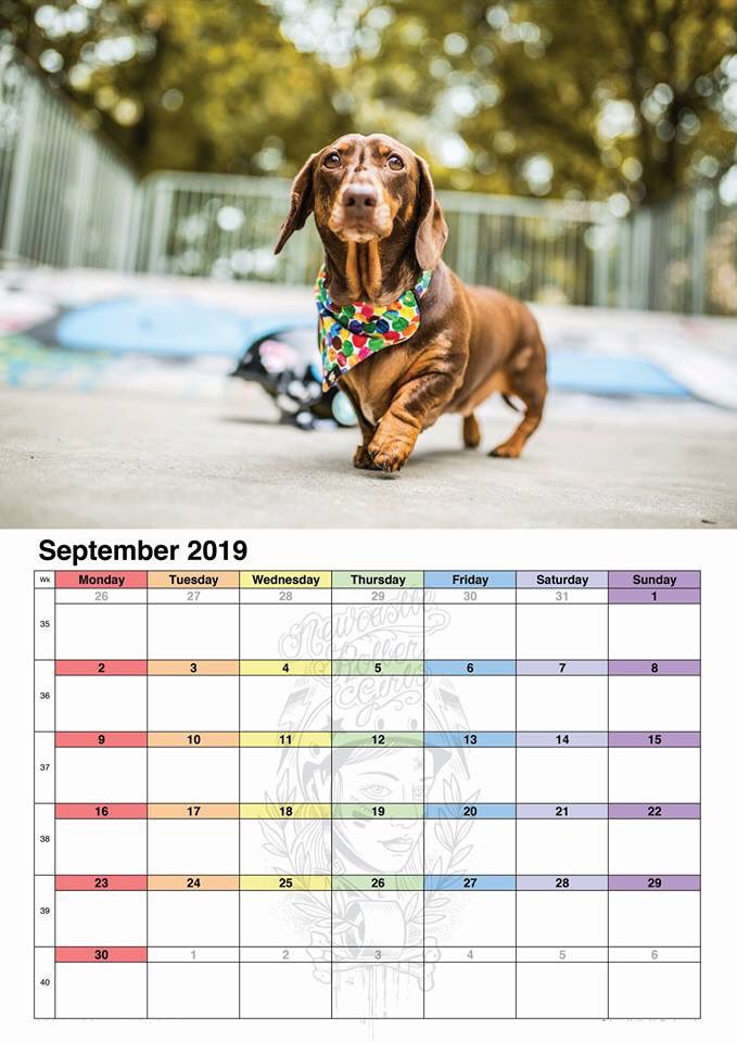 nclrollerderby's tweet image. Looking for the perfect derby related Christmas present?  The last date to get our Dogs of Derby calendar posted out before Christmas is Friday 14 December so don't miss out on the cutest bit of merch around.

newcastlerollergirls.co.uk/product/dogs-o…

#derbytwitter #dogsofwftda #rollerderby