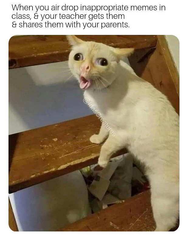 shaner_english's tweet image. 