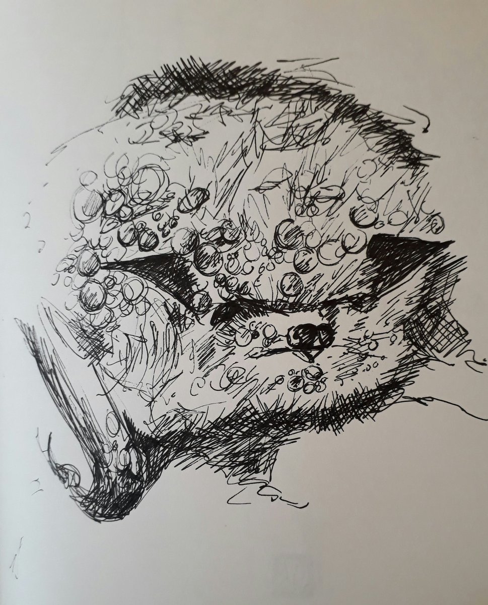 BZIllustrations's tweet photo. I'm a bit late to the #ArtAdventCalendar party, so here's day 1 - 4 hibernating bats pen and ink. #batvent #lovebats 🎄🦇🎄 https://t.co/fumjCrQ0fD