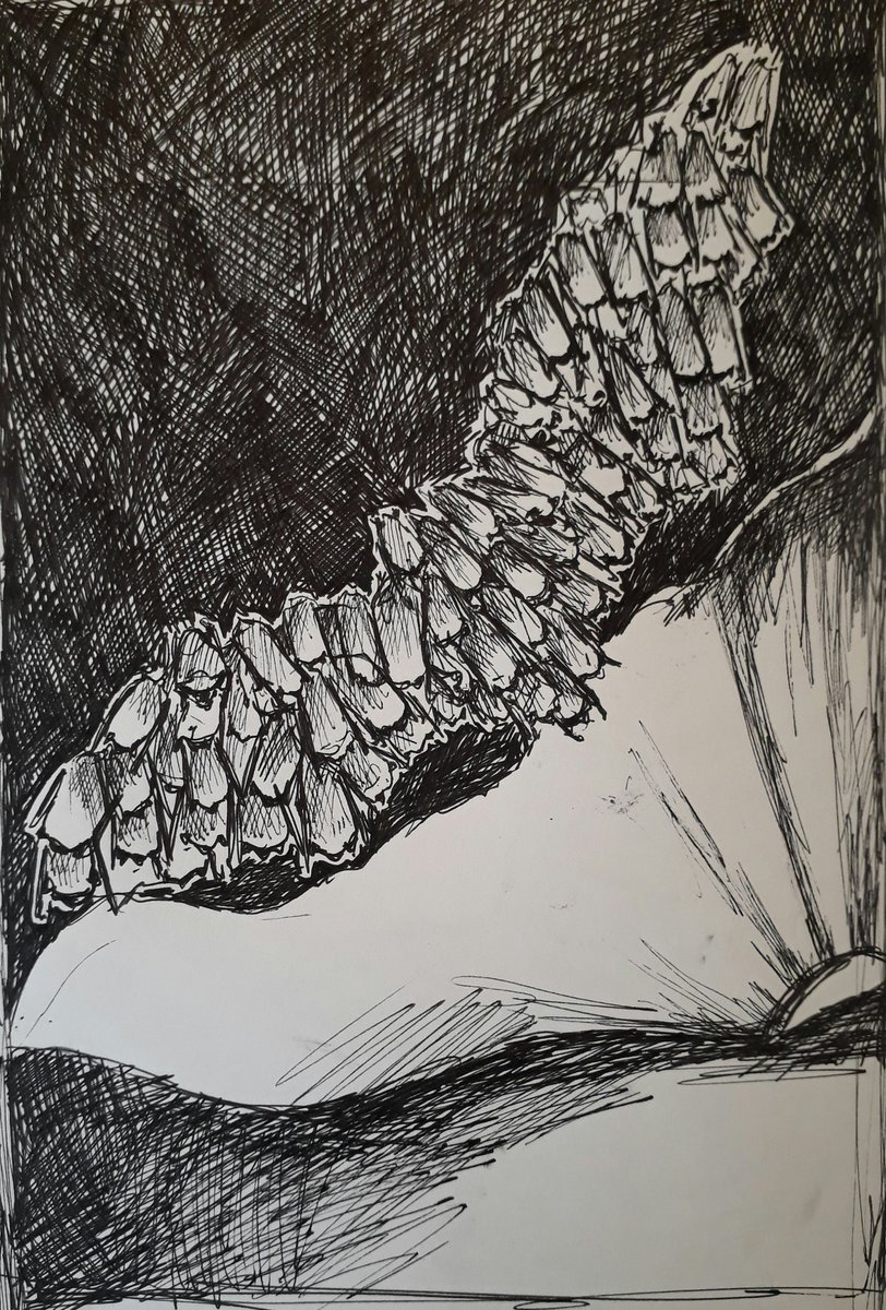 BZIllustrations's tweet photo. I'm a bit late to the #ArtAdventCalendar party, so here's day 1 - 4 hibernating bats pen and ink. #batvent #lovebats 🎄🦇🎄 https://t.co/fumjCrQ0fD