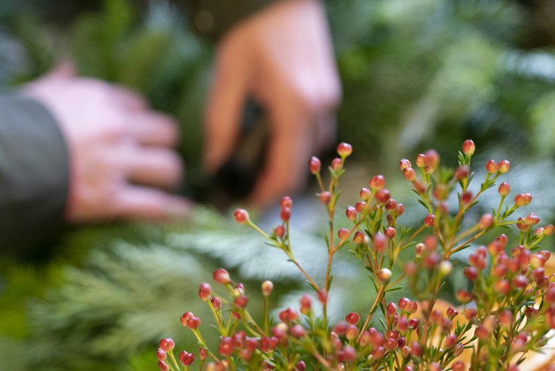 Last week we visited <a href="/Bloomsofbaldock/">Julie Martin</a> to find out how founder Julie Martin started her growing business and she shared some great advice for any SMB. Read our blog to see what we got up to.. hitchinstudios.co.uk/single-post/20… 
#Baldock #floristbaldock #flowersbaldock #ChristmasBaldock
