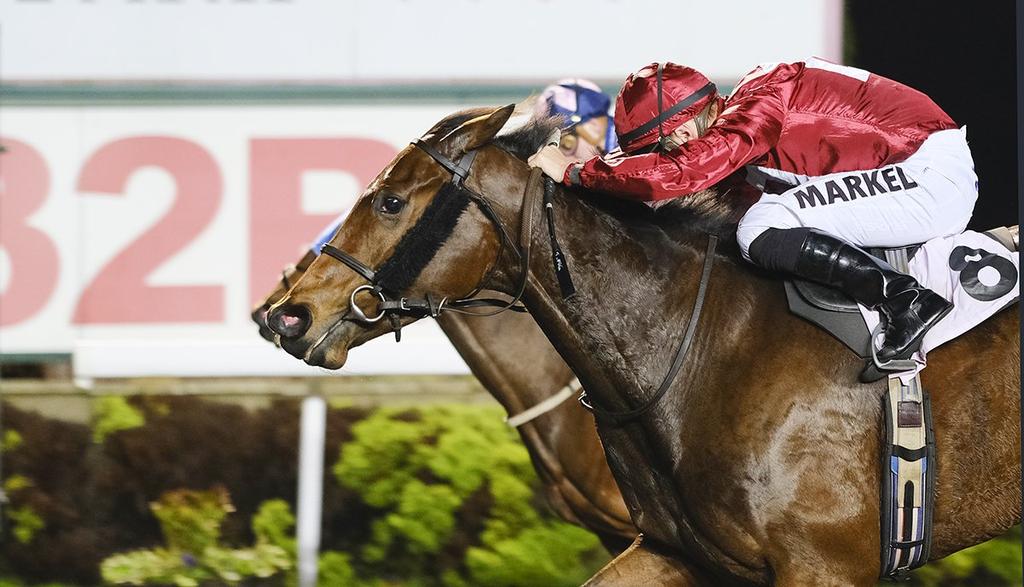 Brian Meehan Limited (@brianmeehanltd) | Twitter