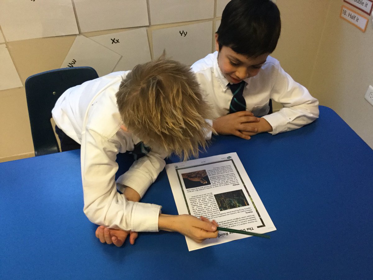 BISC-LP Year 3 tweet media