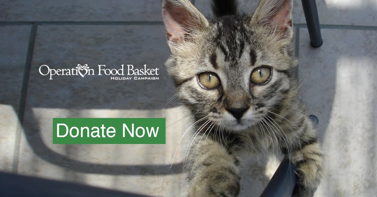 Just as you make sure your pet isn't hungry, others need your help getting food too. Donate anything you can - money or your time. Every little bit counts! bit.ly/FeedROC #ROC #FeedROC <a href="/HouseofMercyROC/">The House of Mercy</a>