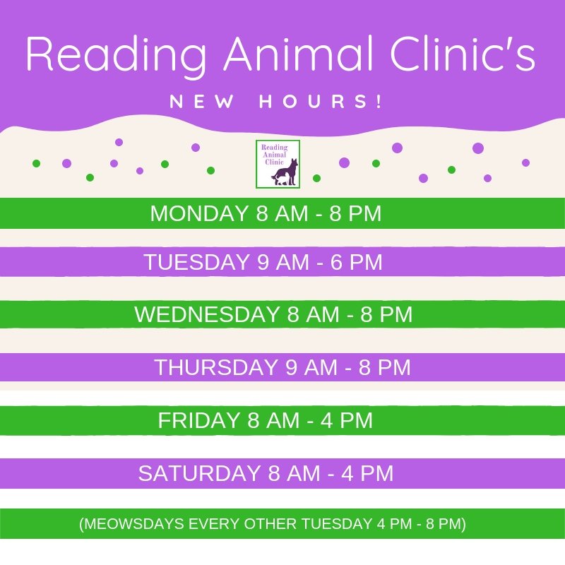 ReadingAnimalMA's tweet photo. We are happy to announce new extended hours - starting Jan 1, 2019! https://t.co/41HpZBtDpe